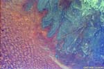 Beautiful Land Patterns in Saudi Arabia