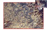 More high-resolution detail using our 180mm lens