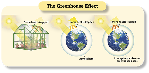 The greenhouse effect